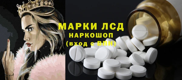 шишки Алексин