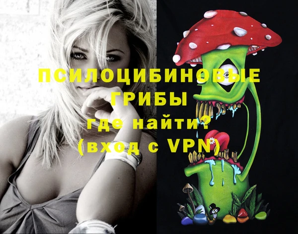 шишки Алексин