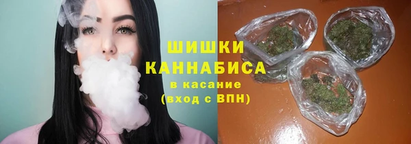 шишки Алексин