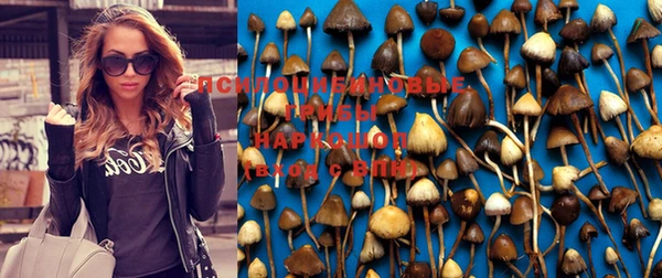 spice Алзамай