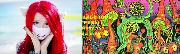 соль курить ск Алексеевка