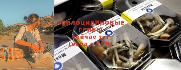 шишки Алексин