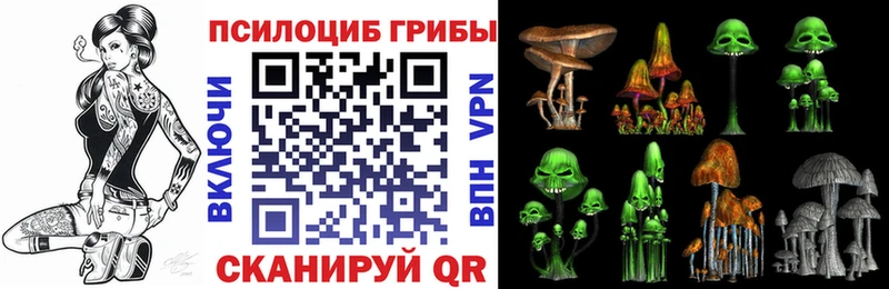 цены наркотик  mega ССЫЛКА  Псилоцибиновые грибы Magic Shrooms  Дербент 