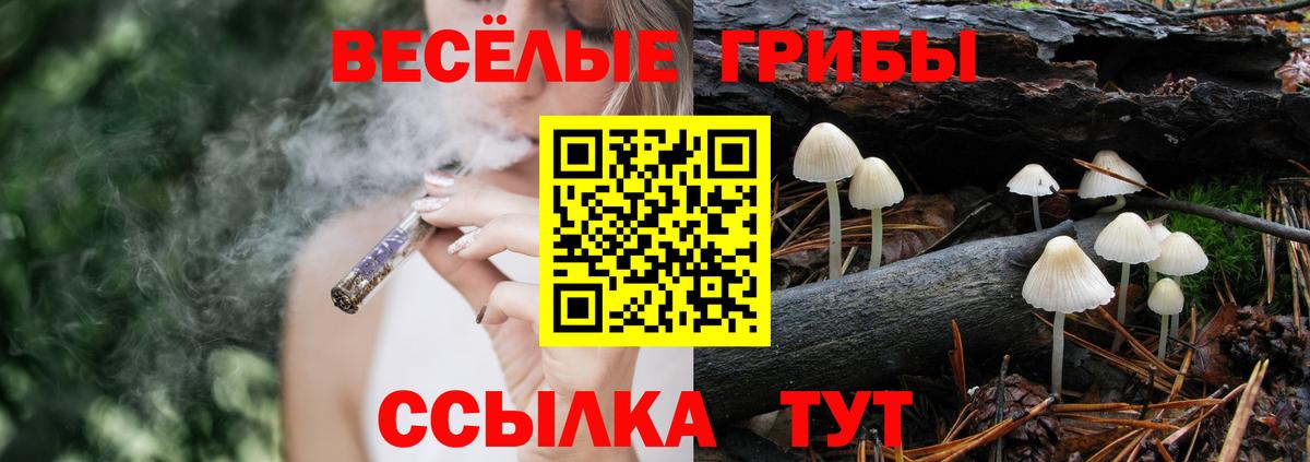 где продают наркотики  Псилоцибиновые грибы прущие грибы  Вход с VPN  Дербент 